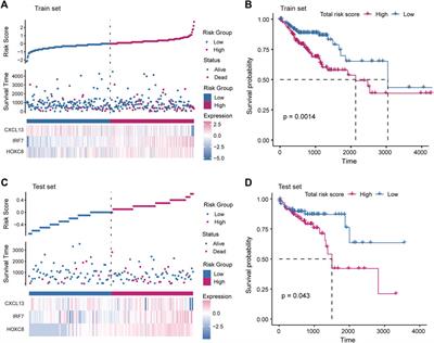 By characterizing metabolic and immune microenvironment reveal potential prognostic markers in the development of colorectal cancer